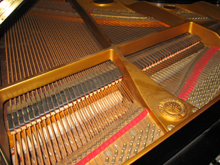 �ቹ����������