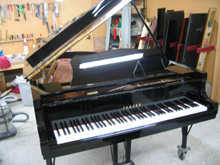 ������S�̎ʐ^