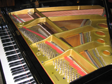 �����������ʐ^