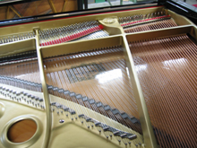 �ቹ�����������ʐ^