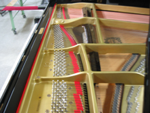 �`���[�j���O�s���ƃ_���p�[�����ʐ^