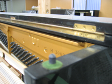 �����q���W���C���O