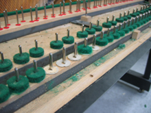 �I�l�Y�~�ɂ��H�Q