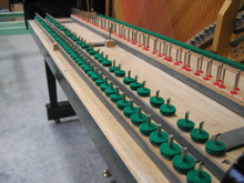 �I�C����